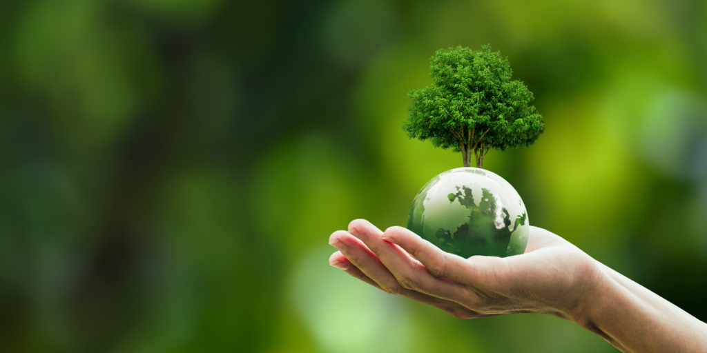 Sylvera Raises $57M for Carbon Offsetting towards Net Zero