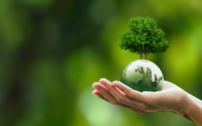 Sylvera Raises $57M for Carbon Offsetting towards Net Zero