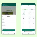 WhatsApp: Pay Businesses Within the App!
