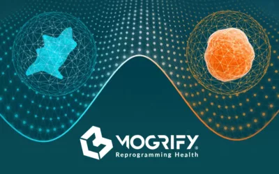 Mogrify Secures $46M in Series A Funding