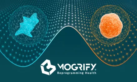 Mogrify Secures $46M in Series A Funding