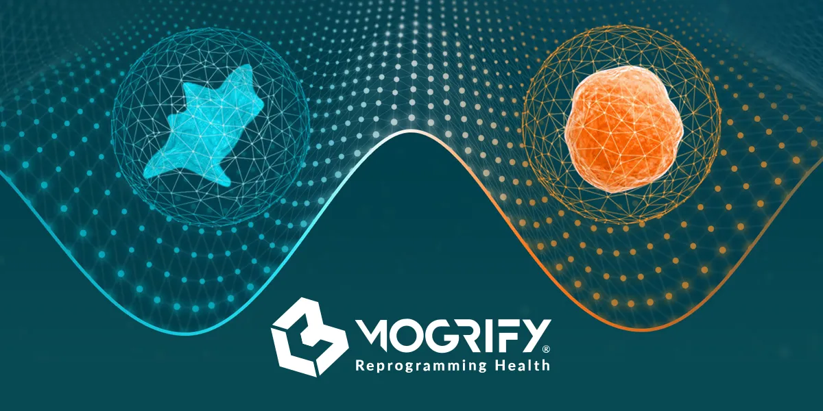 Mogrify Secures $46M in Series A Funding