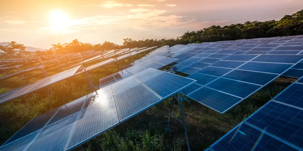 Tigo Energy unveils the Green Glove program C&I solar installers
